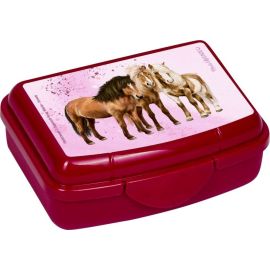 Mini-Snackbox - Pferdefreunde, sortiert (1 Stück)
