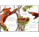 Nestwärmer - Die besten Mamas und Papas im Tierreich