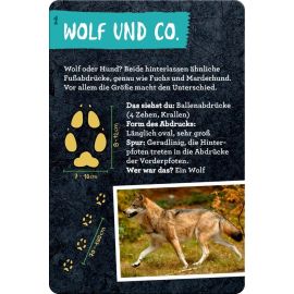 50 Tierspuren - Nature Zoom (Blechdose)