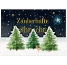 Pop-up-Karten m.K.: Zauberhafte Weihnachten sortiert