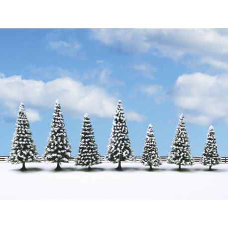 H0,TT,N,Z Schneetannen