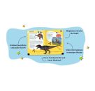 Guinness World Records für Erstleser - Dinosaurier (Rekordebuch zum Lesenlernen)