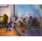 Diamond Painting Kätzchen (Design 25x35)30x40 cm