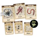 Creepy Crawly Digging Kit
