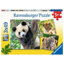 Ravensburger 5666 Puzzle Panda, Tiger und Löwe 3 X 49 Teile