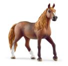 schleich® Horse Club 13953 Paso Peruano Stute
