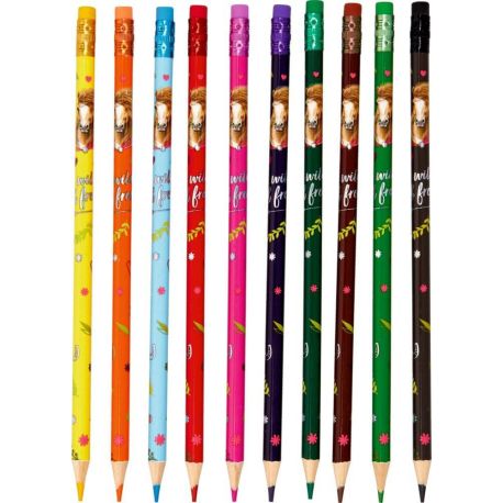 Radierbare Buntstifte - Pferdefreunde