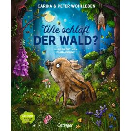 Wie schläft der Wald? Nachhaltig hergestelltes Öko-Pappbilderbuch für die Kleinsten