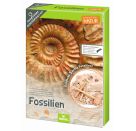 Expedition Natur Das große Fossilien-Ausgrabungs-Set