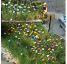 H0-Sommerblumen