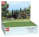 Mini-Wildgrasteppich