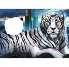 Stadt der bösen Tiere, Band 1: Die Burg (Tier-Fantasy ab 10 Jahre von Bestseller-Autorin Gina Mayer)