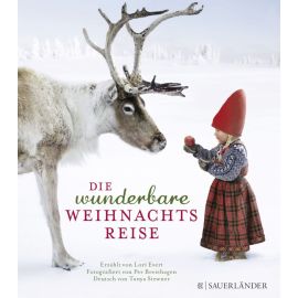 Die wunderbare Weihnachtsreise