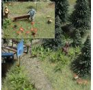 H0 Farne und Pilze
