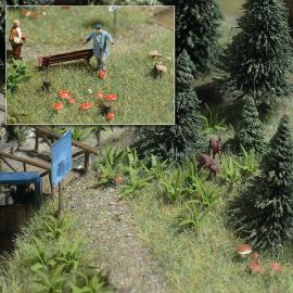 H0 Farne und Pilze