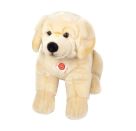 Teddy Hermann Golden Retriever 40 cm