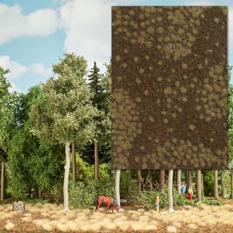 BUSCH Trockener Waldboden