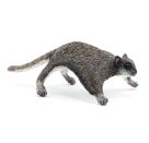 Flughörnchen