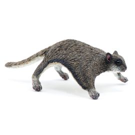 Flughörnchen