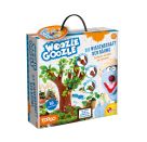WOOZLE GOOZLE, Wissenschaft d