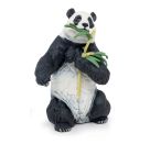 Panda mit Bambus