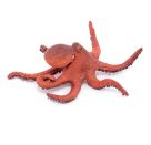 Kleiner Oktopus