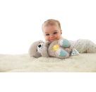 Mattel FXC66 Fisher-Price Schlummer-Otter
