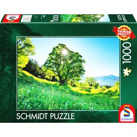 Puzzle Berg-Ahorn im Sonnenlicht, STeile Gallen, Schweiz 1000Teile