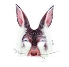 TOITOYS ANIMAL WORLD Maske mit Kunstpelz -Tier, 6-fach sortiert