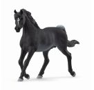 schleich® HORSE CLUB 13981 Araber Hengst