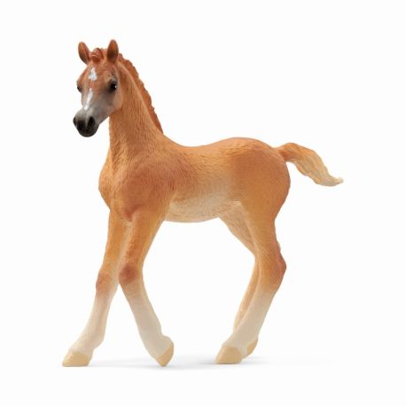 schleich® HORSE CLUB 13984 Araber Fohlen