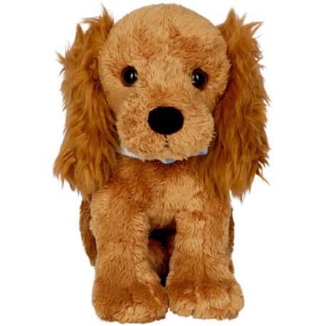 Cocker Spaniel Chip - Lustige Tierparade