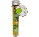 Murmeln Froschkönig - Bunte Geschenke
