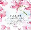 Gr. Spiralaufstellbuch: Jugend ist aus, aber Prosecco ...
