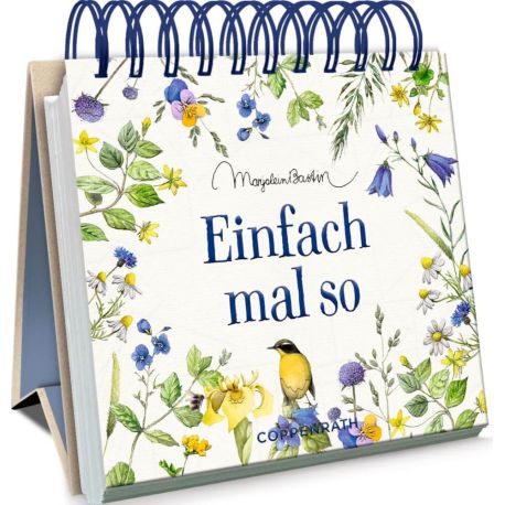Kl. Spiralaufstellbuch: Einfach mal so (Bastin)