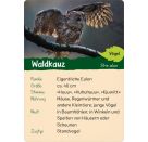 Naturforscher-Kids – Wald