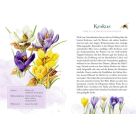 Schöner lesen! No.42: Farbenpracht & Blütenzauber - M.Bastin
