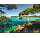 Ravensburger 12000219 Puzzle Schöne Aussicht 500 Teile