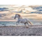 Ravensburger 12000222 Puzzle Pferd am Strand 500 Teile
