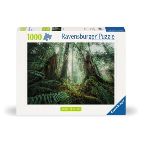 Ravensburger 12000292 Puzzle Faszinierender Wald 1000 Teile