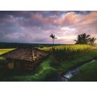Ravensburger 12000642 Puzzle Reisfelder im Norden von Bali 500 Teile