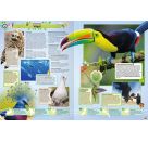 GUINNESS WORLD RECORDS 2025: Das beliebte Rekorde-Buch für Kinder und Erwachsene, Kinderbuch ab 8 Jahre und tolle Gesc