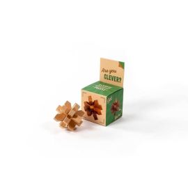Classic Holz-Puzzle Are You Clever?