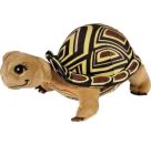 Schule der magischen Tiere Schildkröte Henrietta