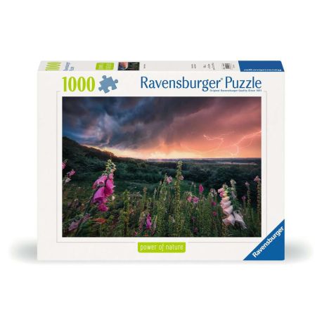 Ravensburger 12000793 Puzzle Ein Sturm zieht auf 1000 Teile