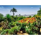 Ravensburger 12000853 Puzzle Botanical Garden, Madeira  1000 Teile