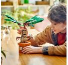 LEGO® Harry Potter™ 76433 Zaubertrankpflanze: Alraune