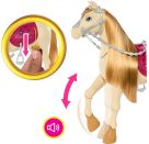 Feature Horse