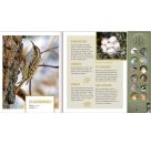 Vögel in unseren Wäldern - Nature Zoom (Soundbuch)