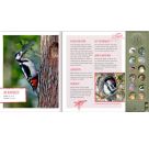 Vögel in unseren Wäldern - Nature Zoom (Soundbuch)